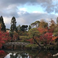 京都 たけでん奥様旅行_181115_0010