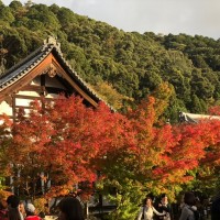 京都 たけでん奥様旅行_181115_0007