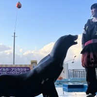 社員旅行　水族館ｱｼｶ決S__10100854