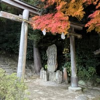 神魂神社　鳥居S__10403849